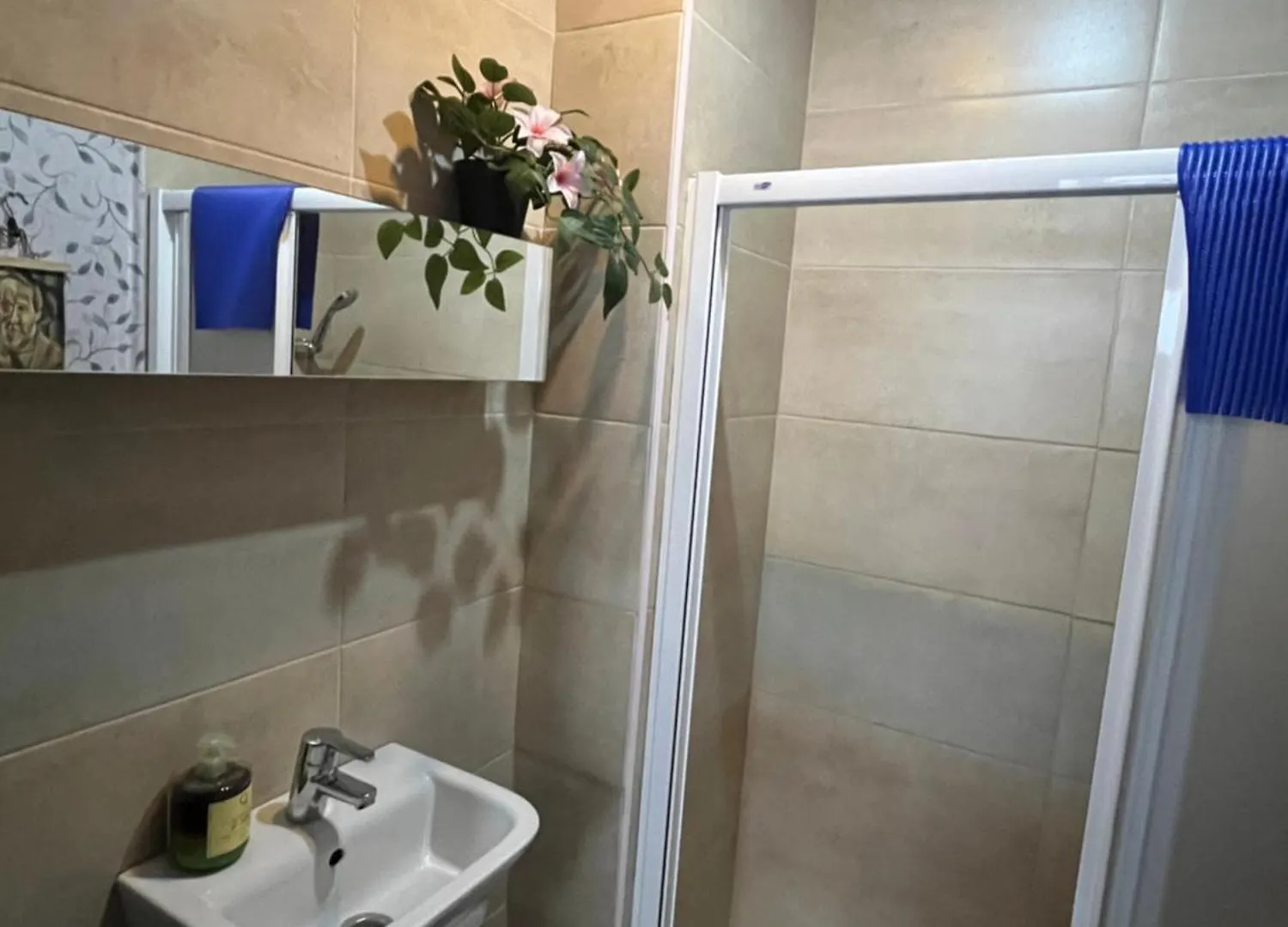 Habitacion En Calle Molino Málaga
