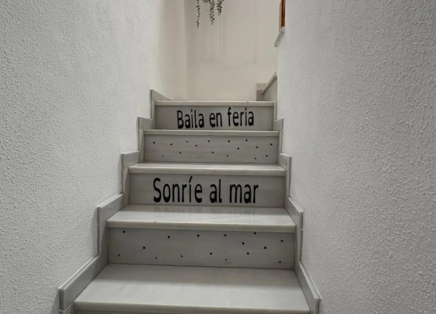 Pensionat Habitacion En Calle Molino Málaga