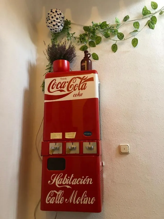 Pensionat Habitacion En Calle Molino Málaga